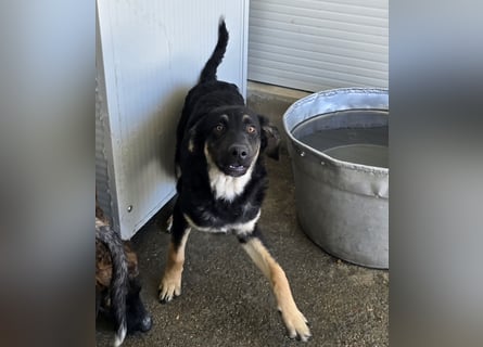 Castagniola: wann darf ich über Wiesen laufen?