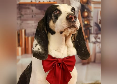 Peter - bewirbt sich als Gesangspartner! Entspannt und immer fröhlich wartet auf deinen? Anruf!