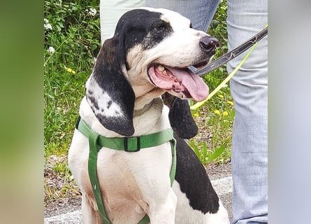 Peter - bewirbt sich als Gesangspartner! Entspannt und immer fröhlich wartet auf deinen? Anruf!