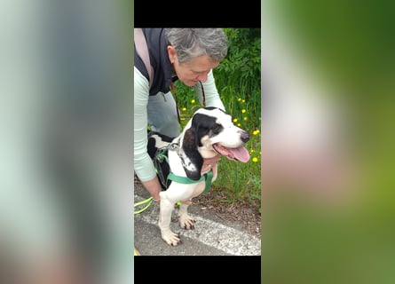 Peter - bewirbt sich als Gesangspartner! Entspannt und immer fröhlich wartet auf deinen? Anruf!