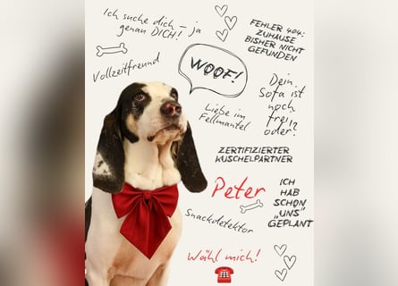 Peter - bewirbt sich als Gesangspartner! Entspannt und immer fröhlich wartet auf deinen? Anruf!