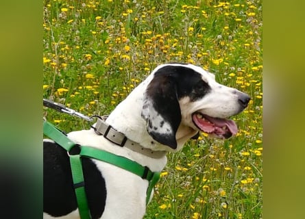 Peter - bewirbt sich als Gesangspartner! Entspannt und immer fröhlich wartet auf deinen? Anruf!