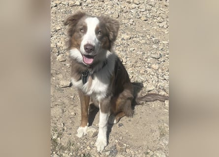 Lui sucht seine für immer Familie