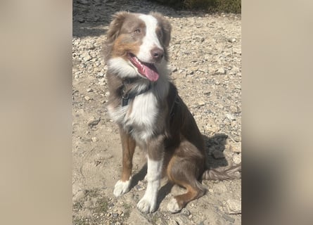 Lui sucht seine für immer Familie