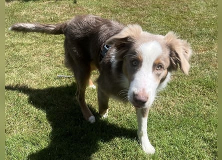 Lui sucht seine für immer Familie