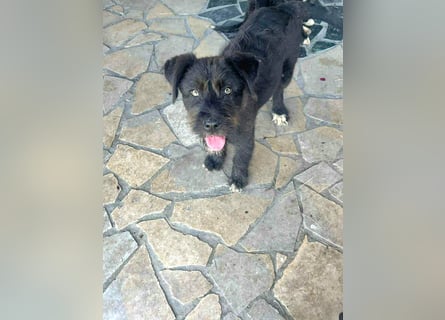 Eléa – Kleine Entdeckerin mit großem Herz sucht Zuhause