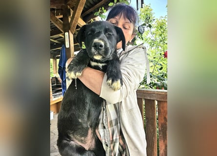 Nova – Kleine Powermaus mit viel Charme sucht aktive Menschen
