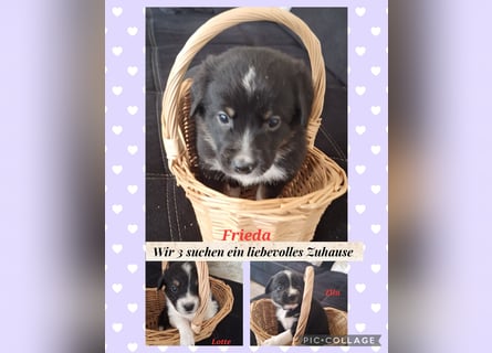 Sie sind endlich da 4 Mädels und 5 Jungs