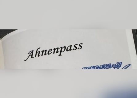 NEUE Welpen sind da.. die reinrassigen Dogo Argentinos mit Ahnenpass