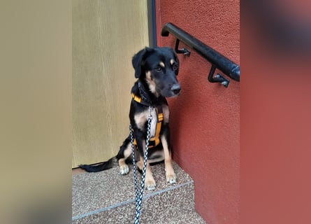 Tina: Lebensfreude pur
