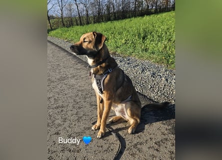 Buddy wartet in 97616 Salz