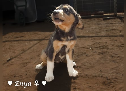 Jackie/Enya sucht ihre Familie ab Oktober