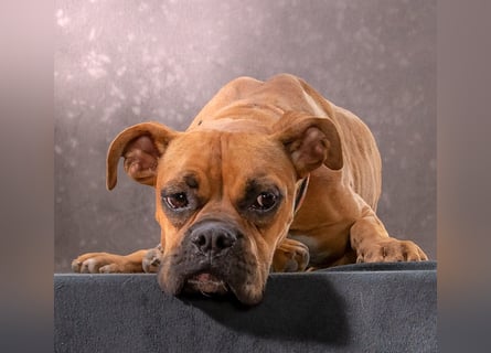 Fiona - eine Knutschkugel