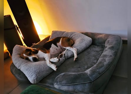 Karamell: wo soll ich denn hin? Notfall!