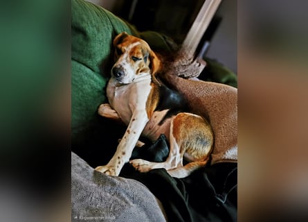 Karamell: wo soll ich denn hin? Notfall!