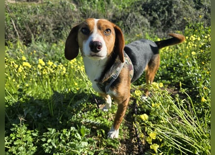 Macchia: ideal für die Familie