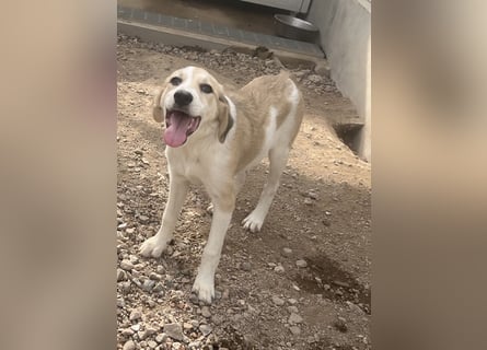 Buffy: ein Schatz für "Überall mit dabei" Buffy: ein Schatz für "Überall mit dabei"