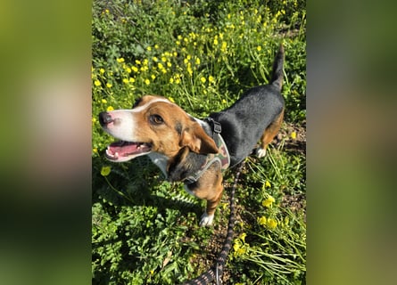 Macchia: ideal für die Familie