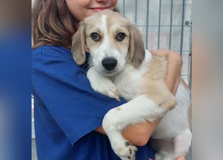 Buffy: ein Schatz für "Überall mit dabei" Buffy: ein Schatz für "Überall mit dabei"