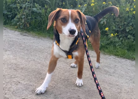 Macchia: ideal für die Familie