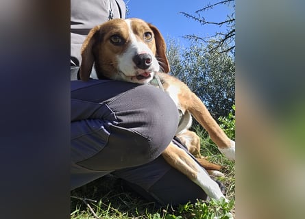 Macchia: ideal für die Familie