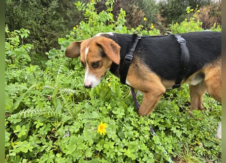 Macchia: ideal für die Familie