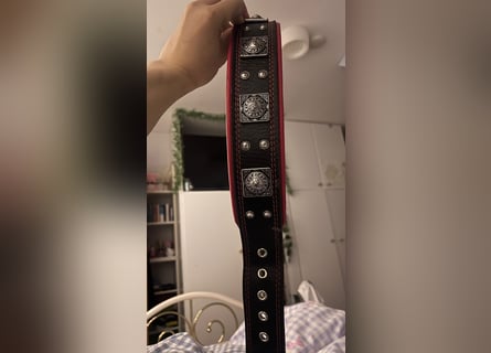 Bestia Echtleder Hundehalsband Xl