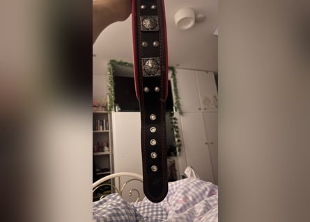 Bestia Echtleder Hundehalsband Xl