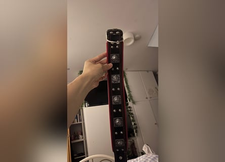 Bestia Echtleder Hundehalsband Xl