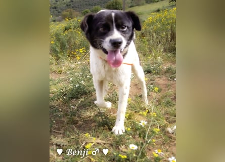 Kokonimix Bo und Benji suchen ab sofort ein Zuhause