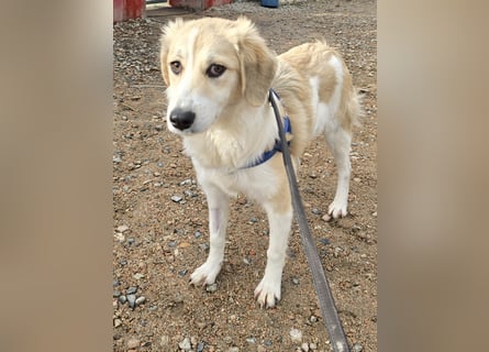 Buffy: ein Schatz für "Überall mit dabei"