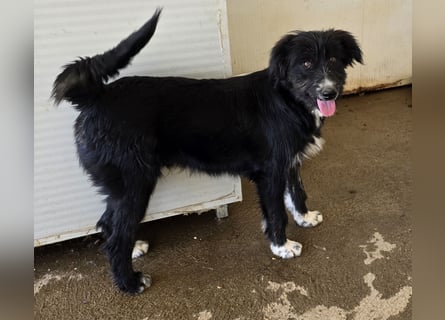 Pumba: ein Schatz mit Kuschelbedürfnis