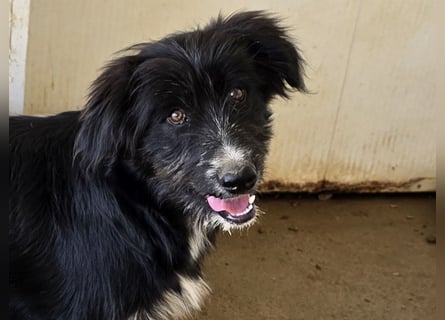 Pumba: ein Schatz mit Kuschelbedürfnis