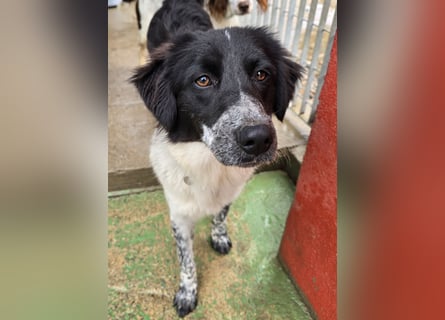 Teresa: gemeinsam schaffen wir es