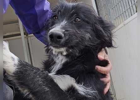 Pumba: ein Schatz mit Kuschelbedürfnis