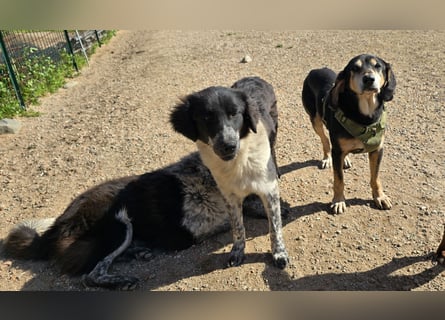 Teresa: gemeinsam schaffen wir es