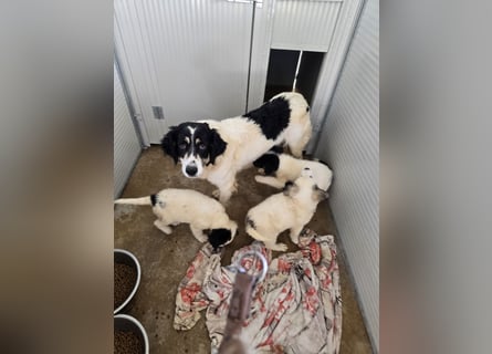 Jiva: auch Mamas brauchen Liebe