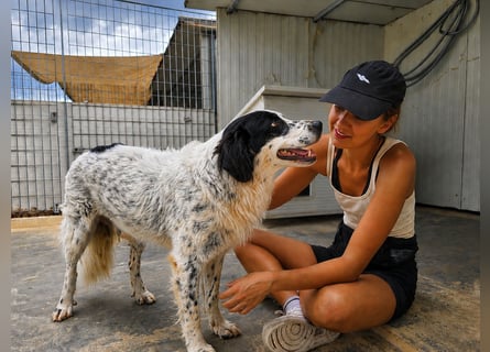 Scallo: er hat soviel Liebe zu geben