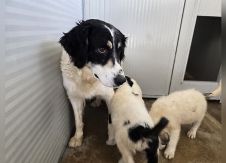 Jiva: auch Mamas brauchen Liebe