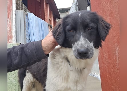 Teresa: gemeinsam schaffen wir es