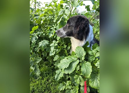 Teresa: gemeinsam schaffen wir es