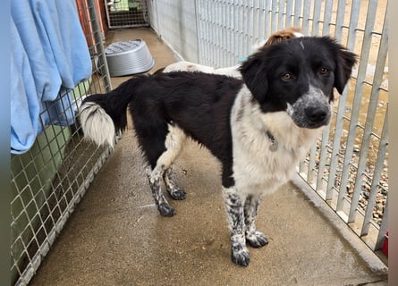 Teresa: gemeinsam schaffen wir es