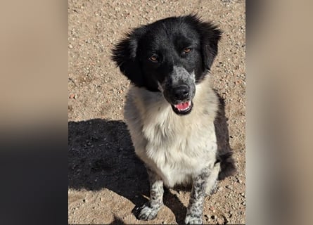 Teresa: gemeinsam schaffen wir es