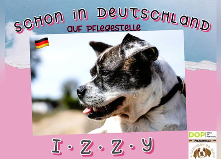 FROHNATUR ♦️I Z Z Y♦️ jetzt in Deutschland auf PFLEGESTELLE