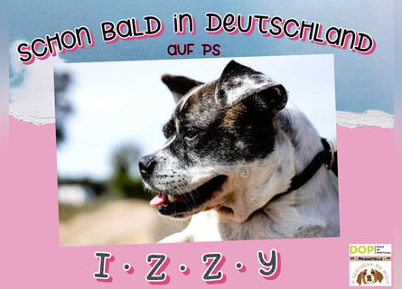 TYPISCH FROHNATUR  ♦️ I Z Z Y ♦️