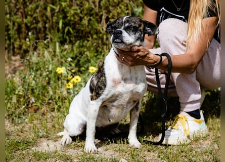 Typisch Frohnatur ♦️I Z Z Y ♦️ in der Cantinho da Milu ⏳ 1/2026