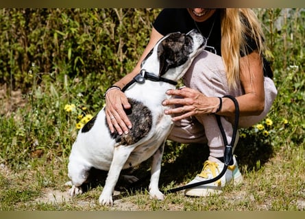 Typisch Frohnatur ♦️I Z Z Y ♦️ in der Cantinho da Milu ⏳ 1/2026