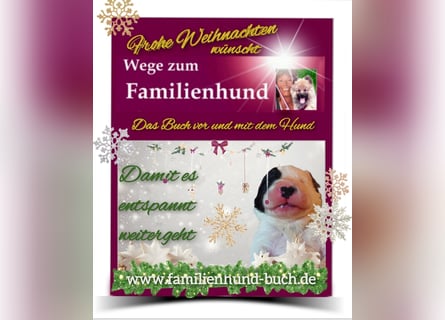 Vor und mit dem Welpen, Junghund, erwachsenen Hund: Das Buch Wege zum Familienhund