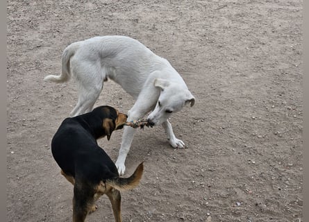 Willy: Mobbingopfer braucht Sicherheit