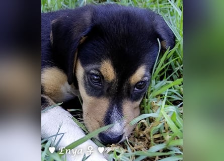 Jackie/Enya sucht ihre Familie ab Oktober